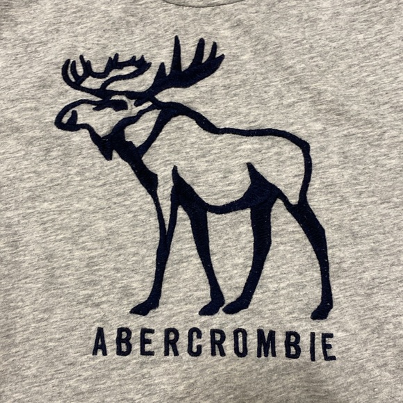 Abercrombie Kids Gray Moose T Shirt size 11/12 Boys Girls - Picture 3 of 9